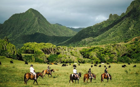 Kualoa Ranch: Horseback Walking Tour