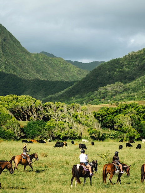 Horseback riders on a tour at Kualoa Ranch, Hawaii, with lush mountains in the background.