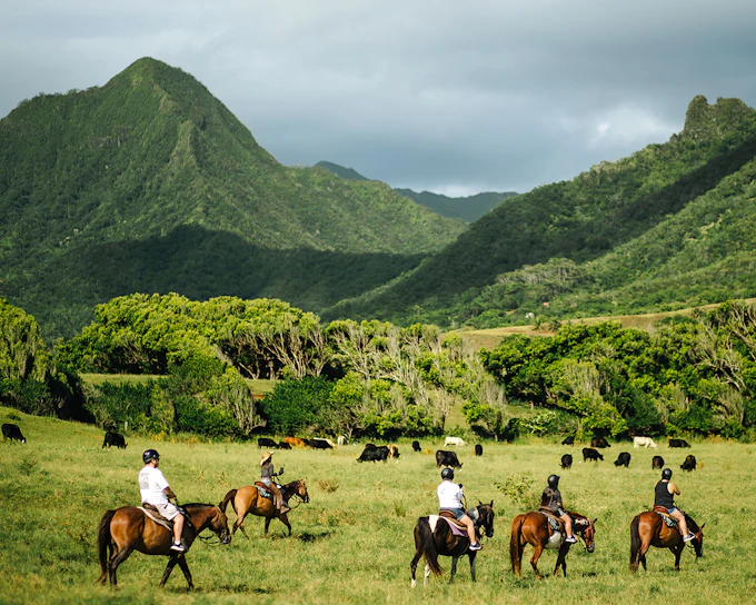 Kualoa Ranch: Horseback Walking Tour