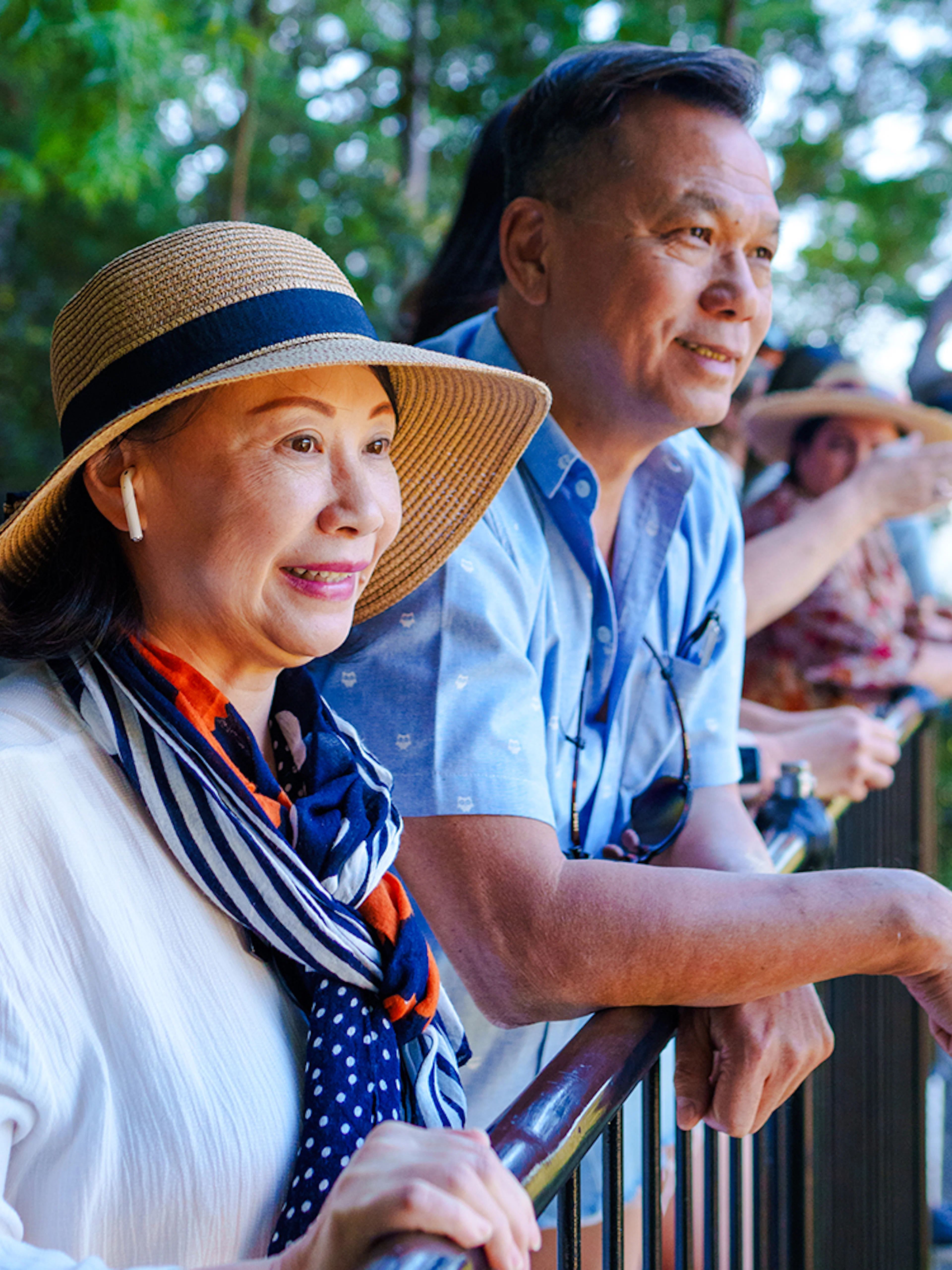 Tourists enjoying the view on the Natural Bridge & Springbrook Waterfalls Tour.