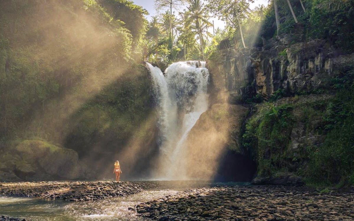 guided day tour of ubud with round-trip hotel transfers-2 guided day tour of ubud with round-trip hotel transfers-2