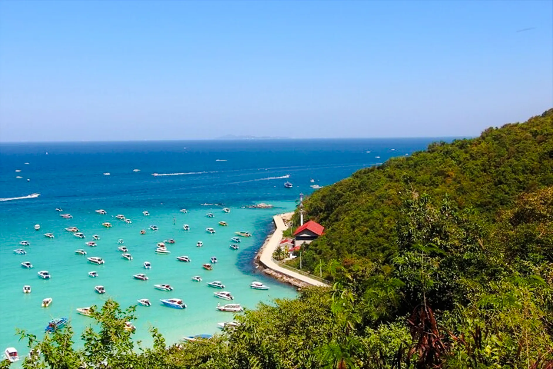 pattaya koh larn coral island and art in paradise from bangkok-1
