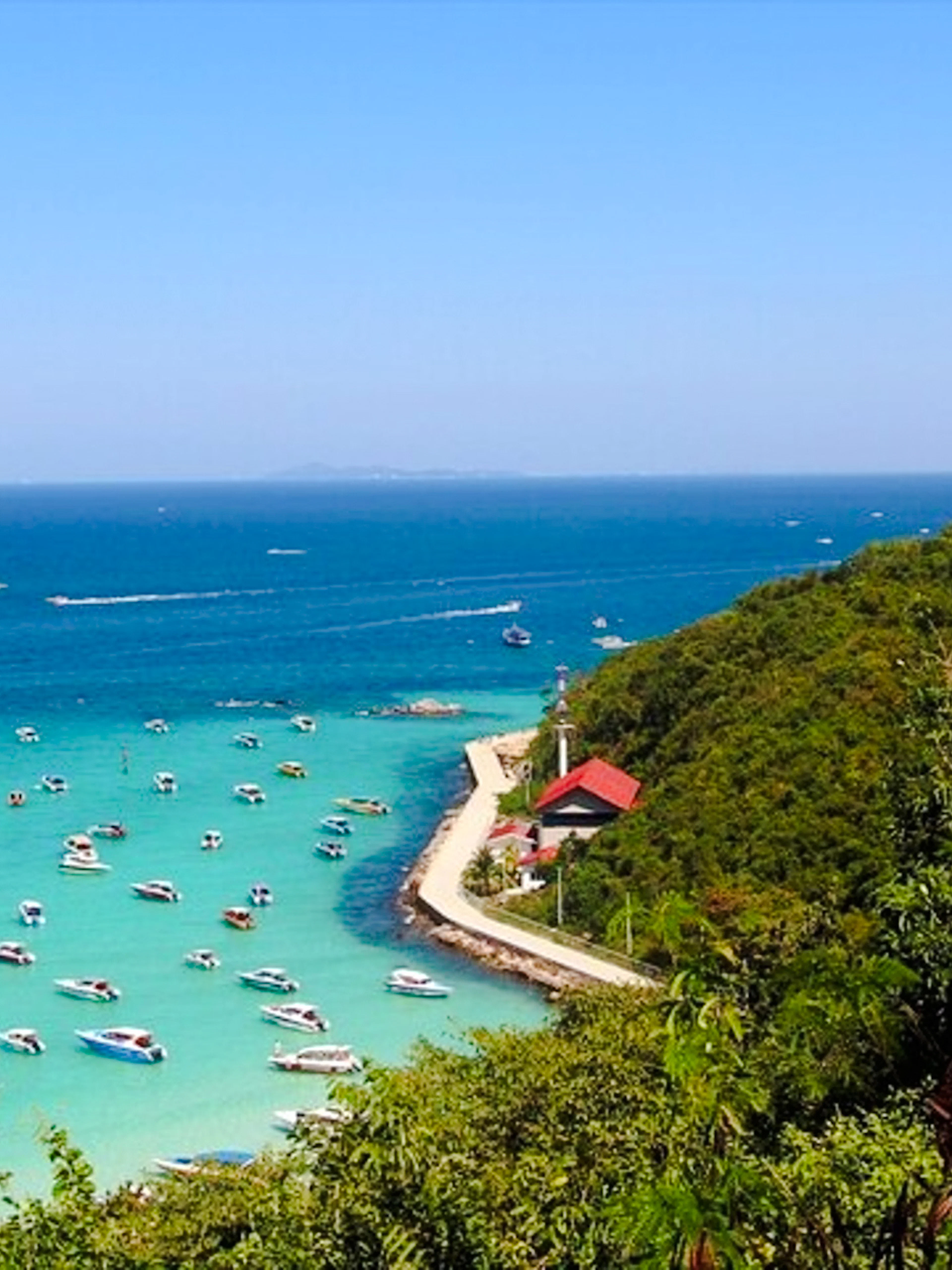 from bangkok: koh larn coral island and art in paradise pattaya day trip-1