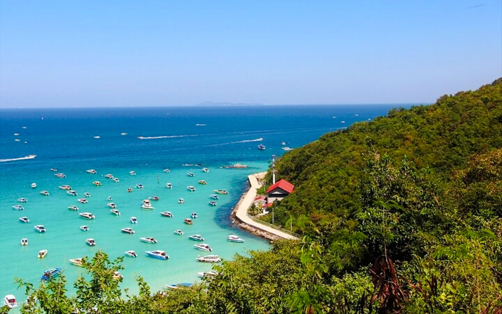 From Bangkok: Koh Larn Coral Island and Art in Paradise Pattaya Day Trip