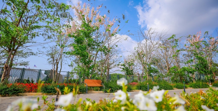 Tierra de flores