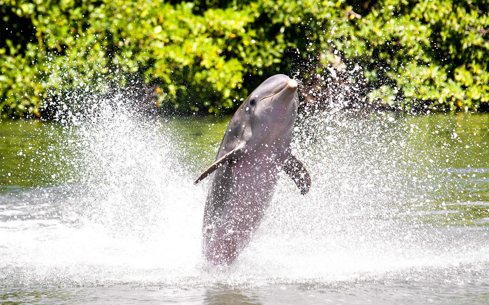 Family observing giraffes at Jardim Zoologico, Lisbon.