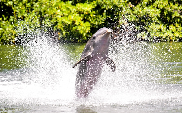 Family observing giraffes at Jardim Zoologico, Lisbon.