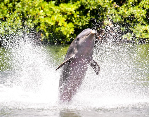 Jardim Zoologico