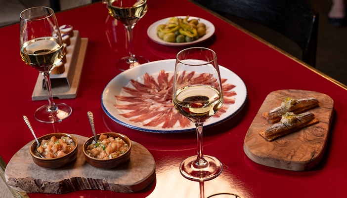 Flamenco De Leones - Flamenco Show