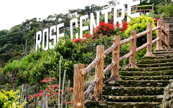from kuala lumpur: private cameron highlands tour-2