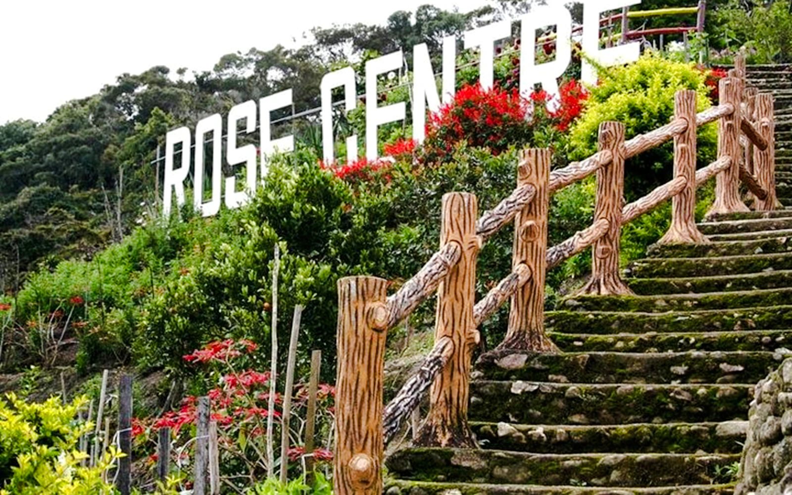 From Kuala Lumpur: Private Cameron Highlands Tour Image 2