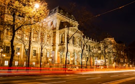 Viyana Üniversitesi