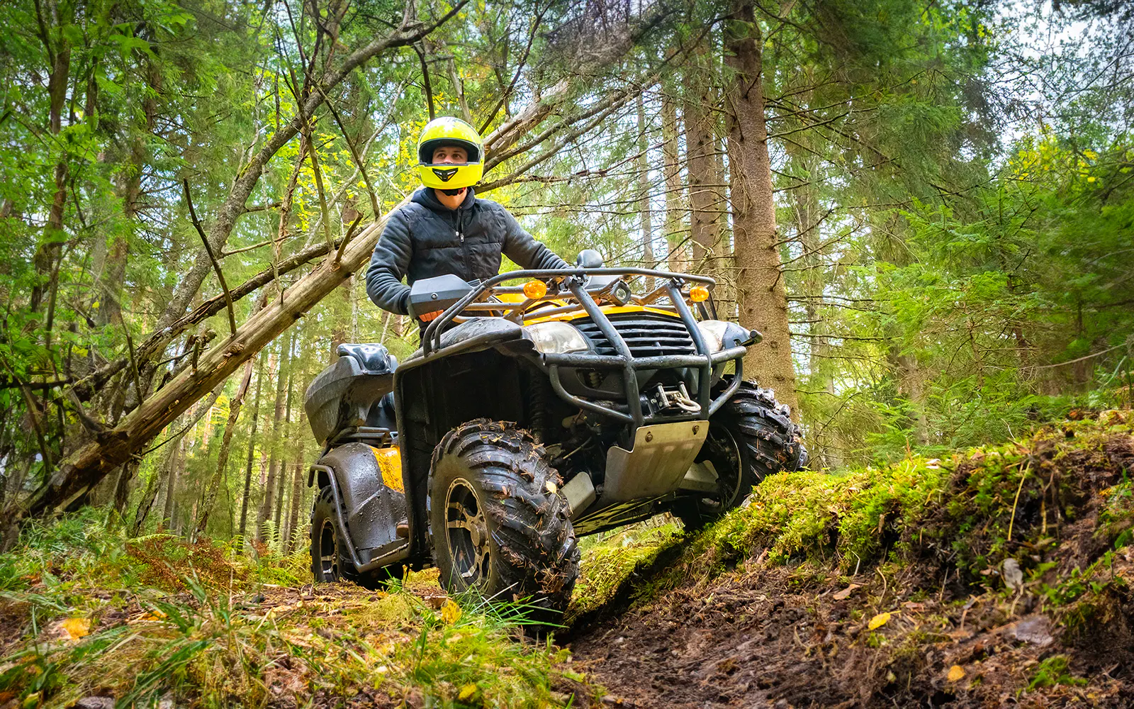 Quad biking through a forest trail, adventure tour experience.