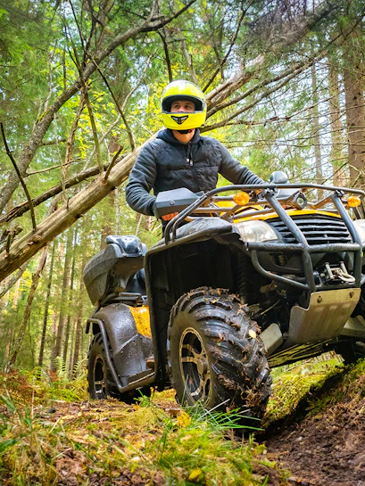 Quad biking through a forest trail, adventure tour experience.