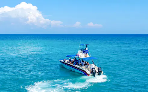 quepos: tour zum schnorcheln auf der isla tortuga-1