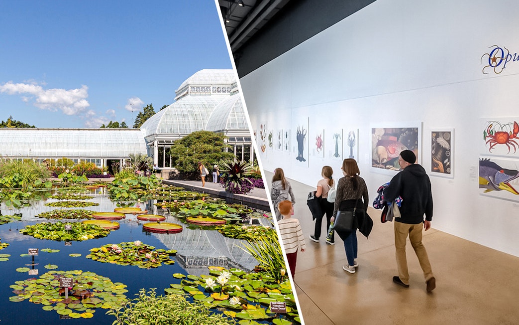 New York Botanical Garden pond and visitors at American Museum of Natural History exhibit.