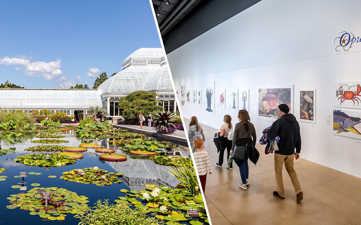 New York Botanical Garden pond and visitors at American Museum of Natural History exhibit.