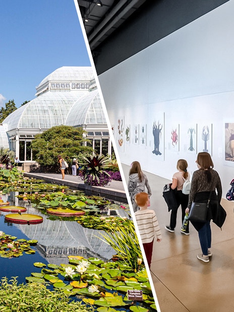 New York Botanical Garden pond and visitors at American Museum of Natural History exhibit.