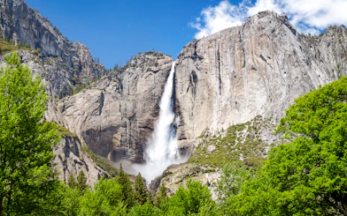 Yosemite Falls cascading down granite cliffs surrounded by lush greenery.