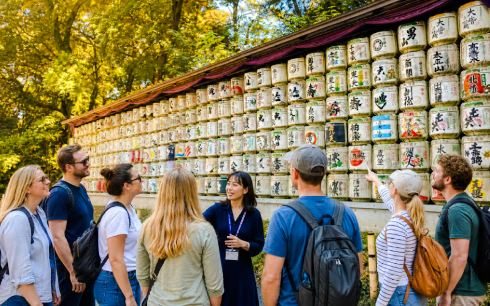 Tokyo: Meiji Shrine Cultural Walk with a Local Guide