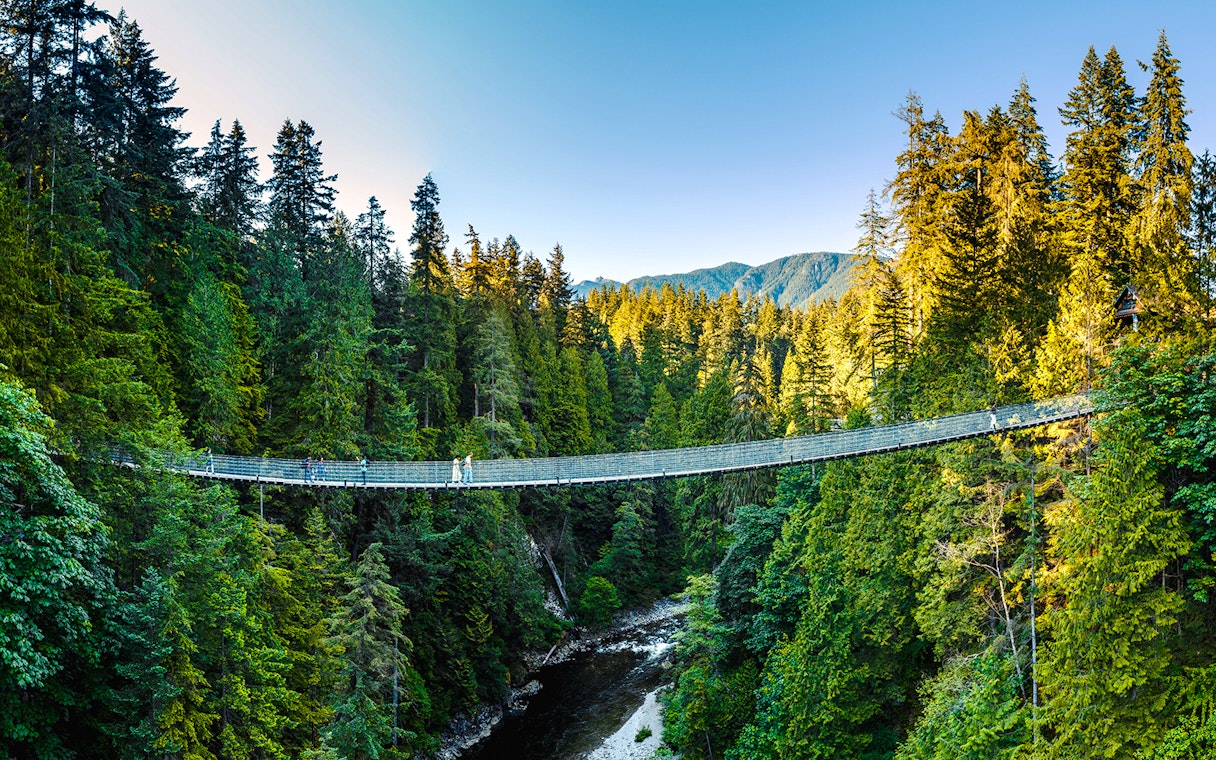 Capilano Suspension Bridge spanning a forested canyon in Vancouver, Canada.