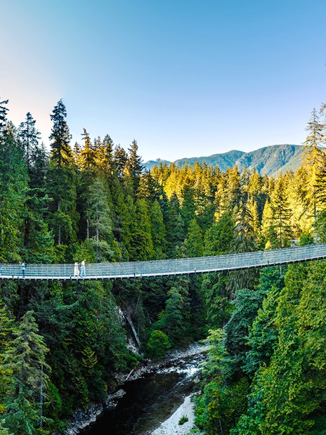 Capilano Suspension Bridge spanning a forested canyon in Vancouver, Canada.