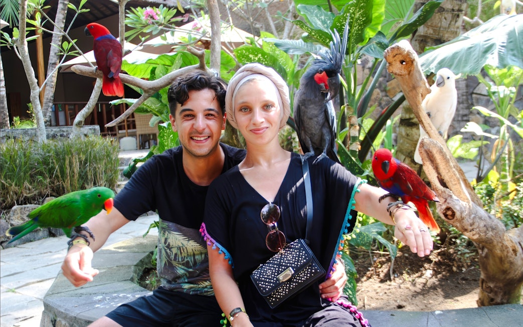 Couple with colorful birds at Lombok Wildlife Park, Indonesia.
