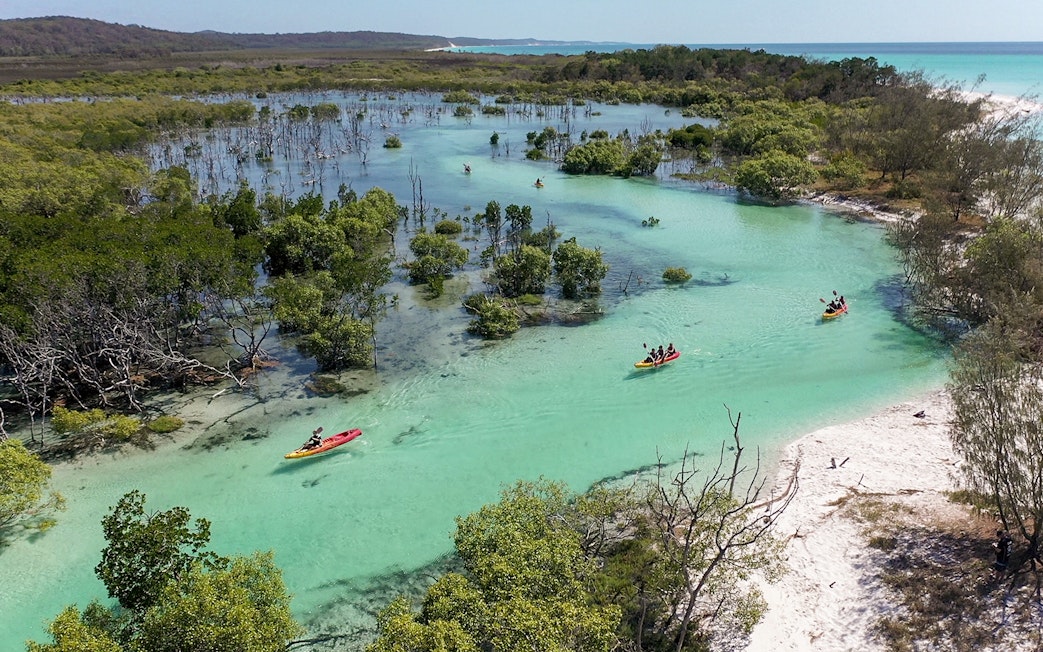 Kayakers exploring turquoise waters and lush mangroves on K'gari (Fraser Island) tour.
