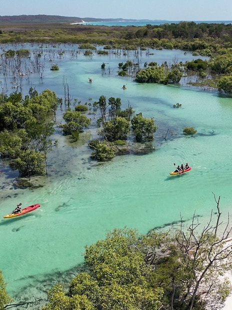Kayakers exploring turquoise waters and lush mangroves on K'gari (Fraser Island) tour.