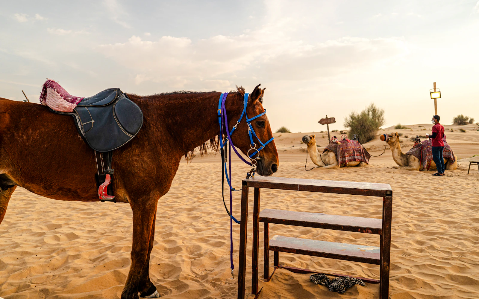 Morning Desert Safari Dubai Private Tour