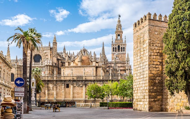 Seville Cathedral and Giralda Tower on a guided walking tour in Seville.