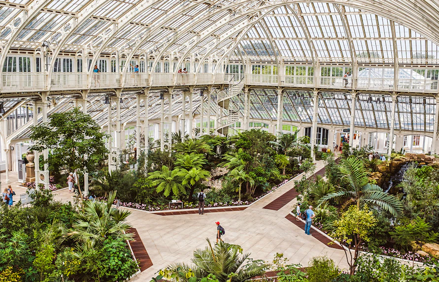 Kew Gardens Museum 1 interior with lush greenery and visitors exploring the glasshouse.
