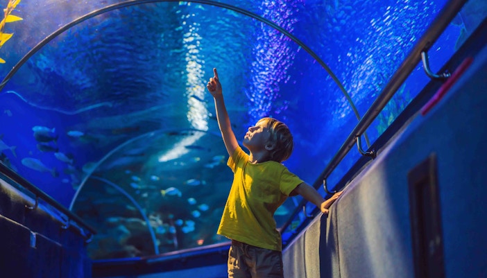 Highlights of Constanta Dolphinarium