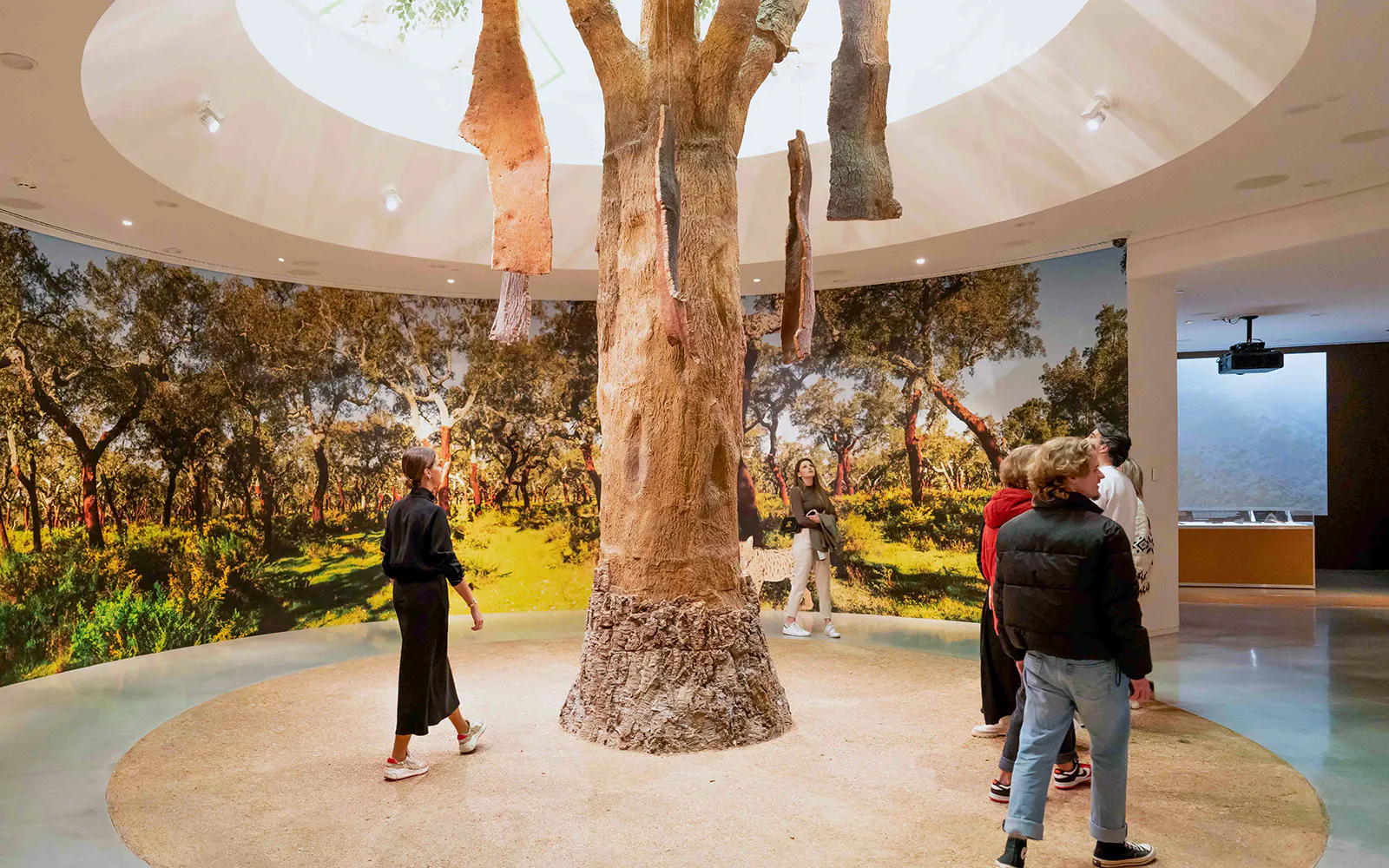Visitors exploring cork oak exhibit at Taylor's Port Cellars in Porto.