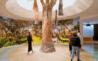 Visitors exploring cork oak exhibit at Taylor's Port Cellars in Porto.