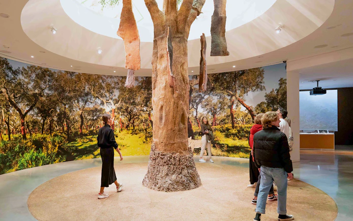 Visitors exploring cork oak exhibit at Taylor's Port Cellars in Porto.