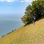 Mt Tamalpais