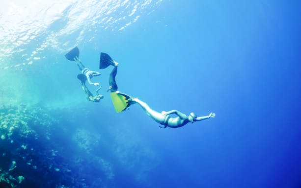 Snorkeling instructor guiding tourists in clear waters at Ras Mohamed, Sharm El-Sheikh.
