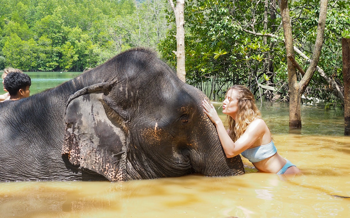 Person interacting with an elephant in water at Krabi Elephant Shelter, Thailand.
