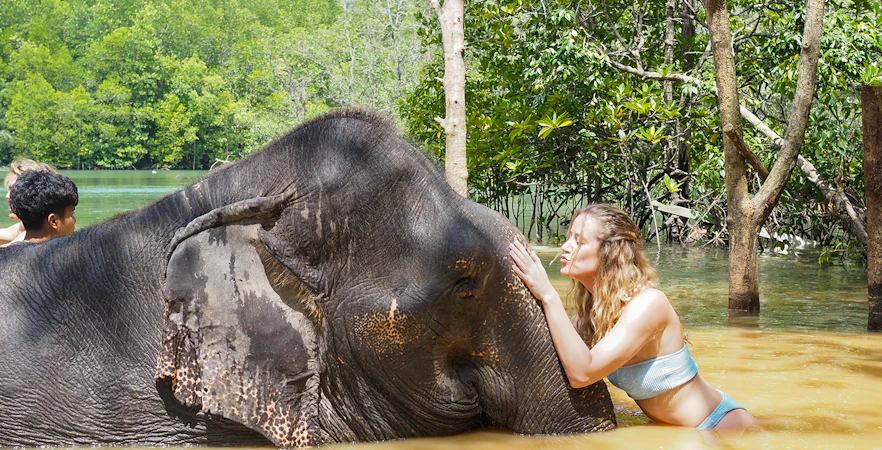 Person interacting with an elephant in water at Krabi Elephant Shelter, Thailand.