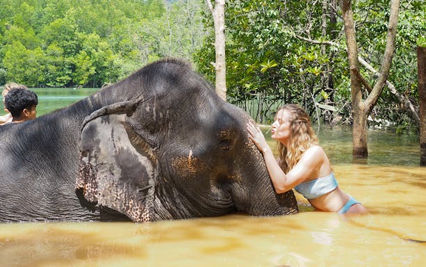 Person interacting with an elephant in water at Krabi Elephant Shelter, Thailand.
