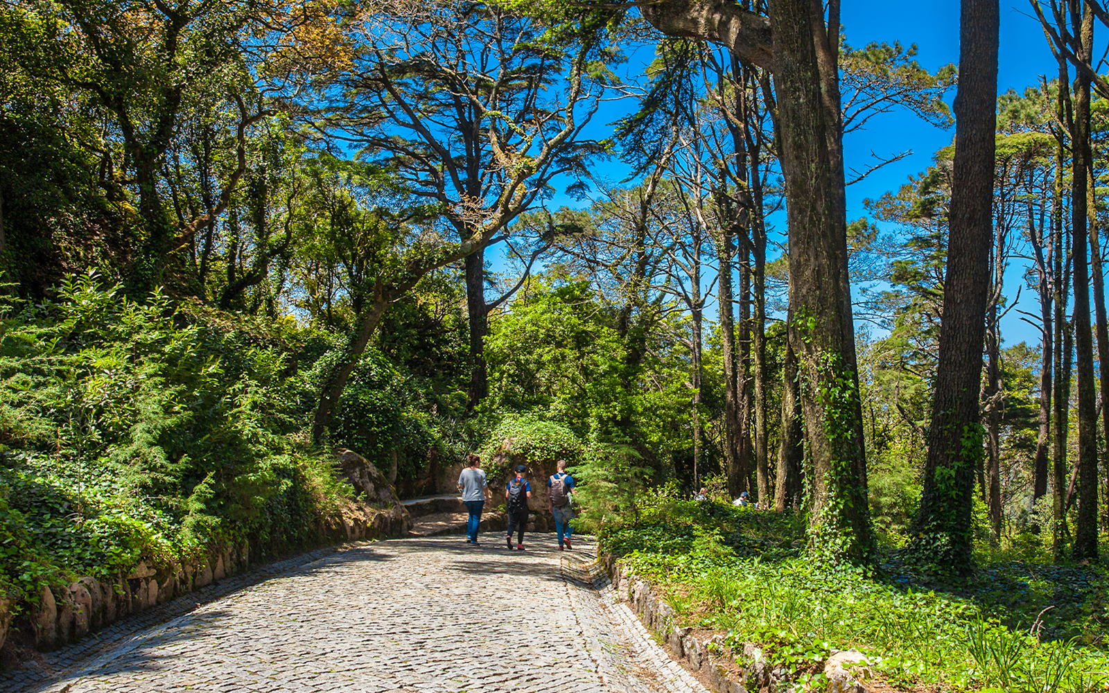 Tourists walking on the cobblestone Seteais Trail in Pena Park, surrounded by lush trees.