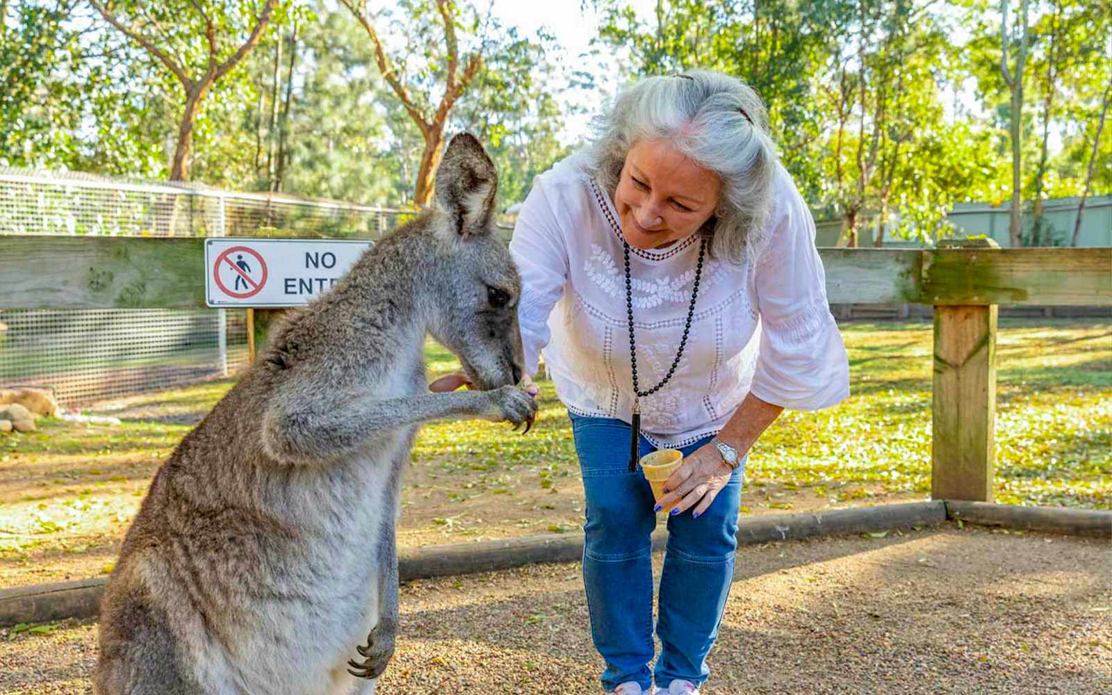 Lady feeding. kangaroo at Featherdale Wildlife Park