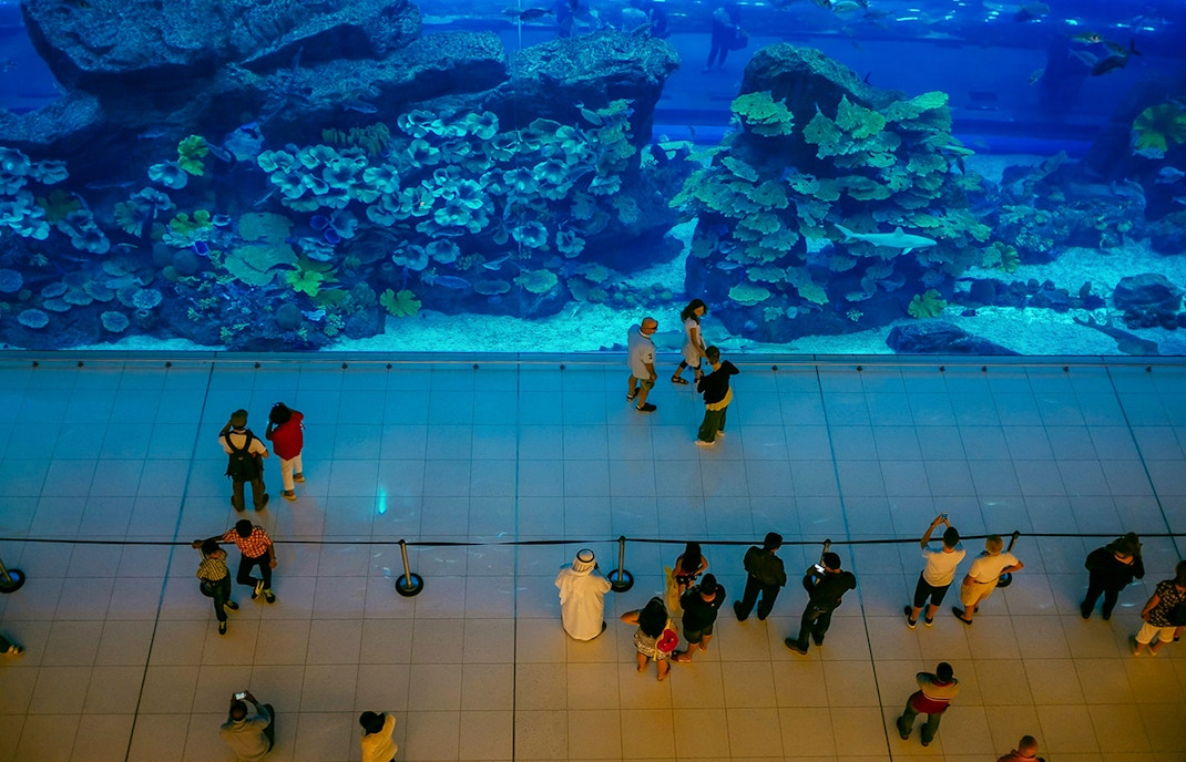 acuario y zoo submarino de dubai