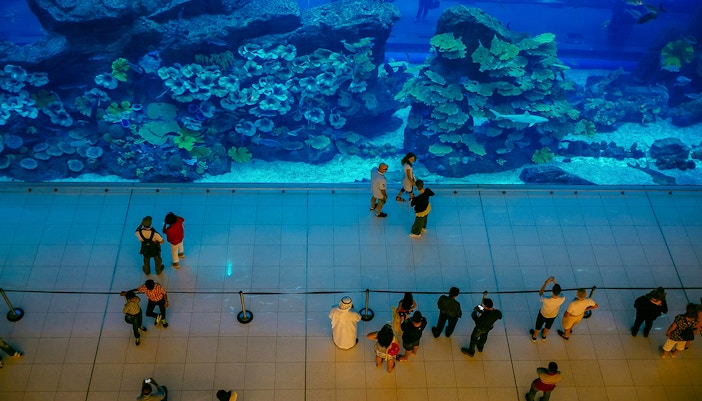 Genoa's Aquarium Village