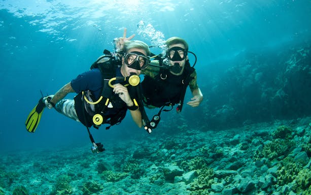 Divers exploring underwater in the Mediterranean Sea.