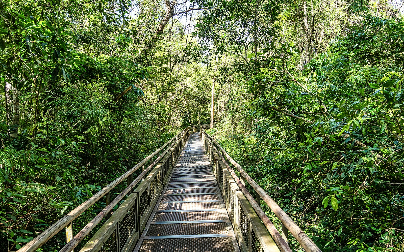 Path at Iguazu Falls, the largest series of waterfalls of the world