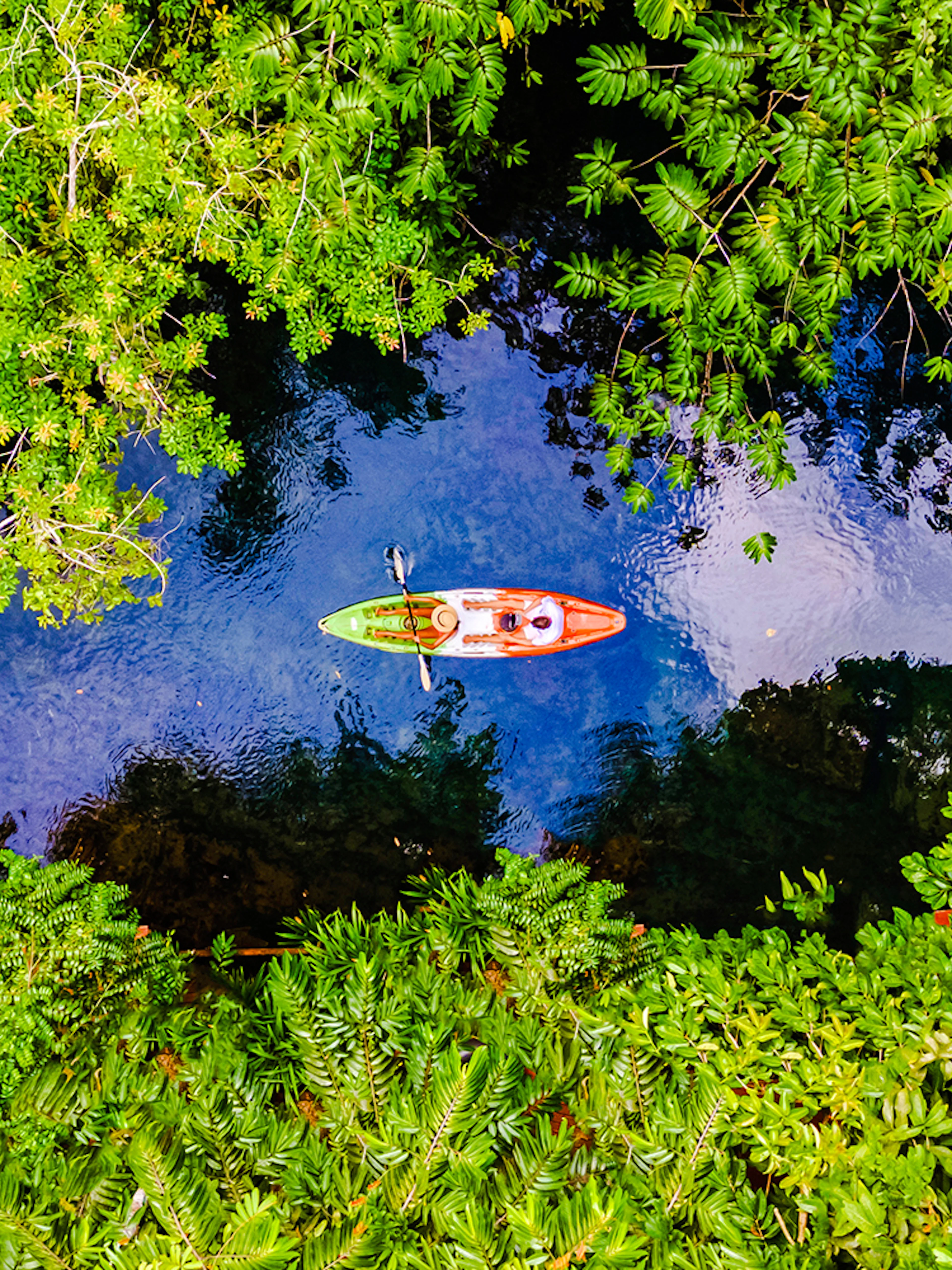 Couple kayaking through Krabi mangrove forest in Thailand.