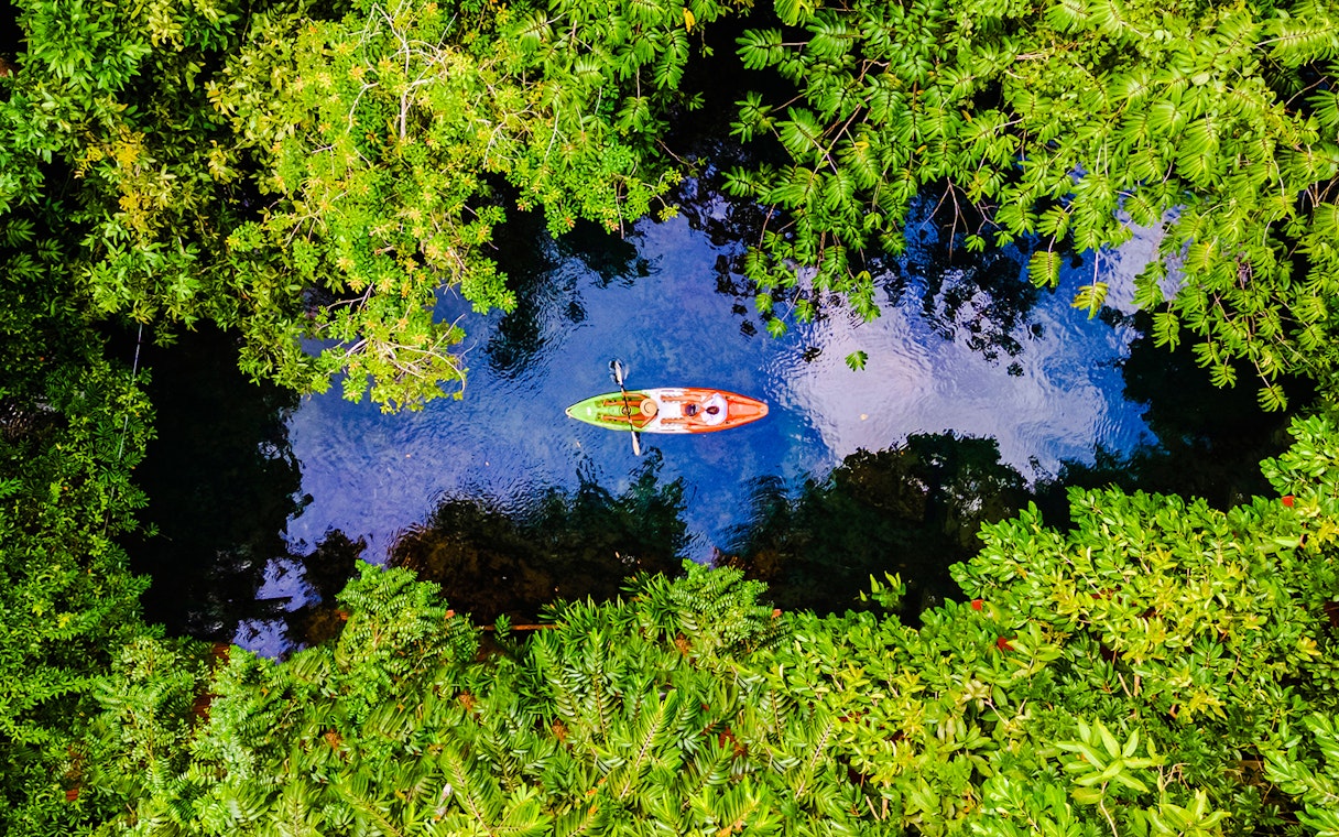 Couple kayaking through Krabi mangrove forest in Thailand.