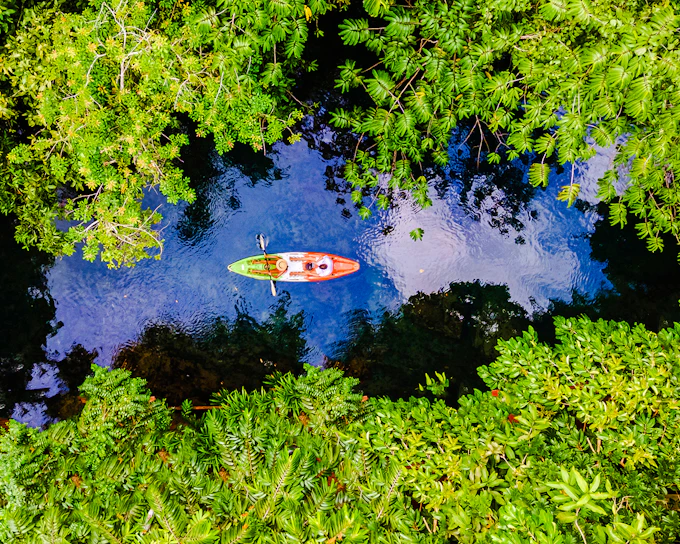 Krabi: Kayak Adventure through Ao Thalane Mangrove Forest